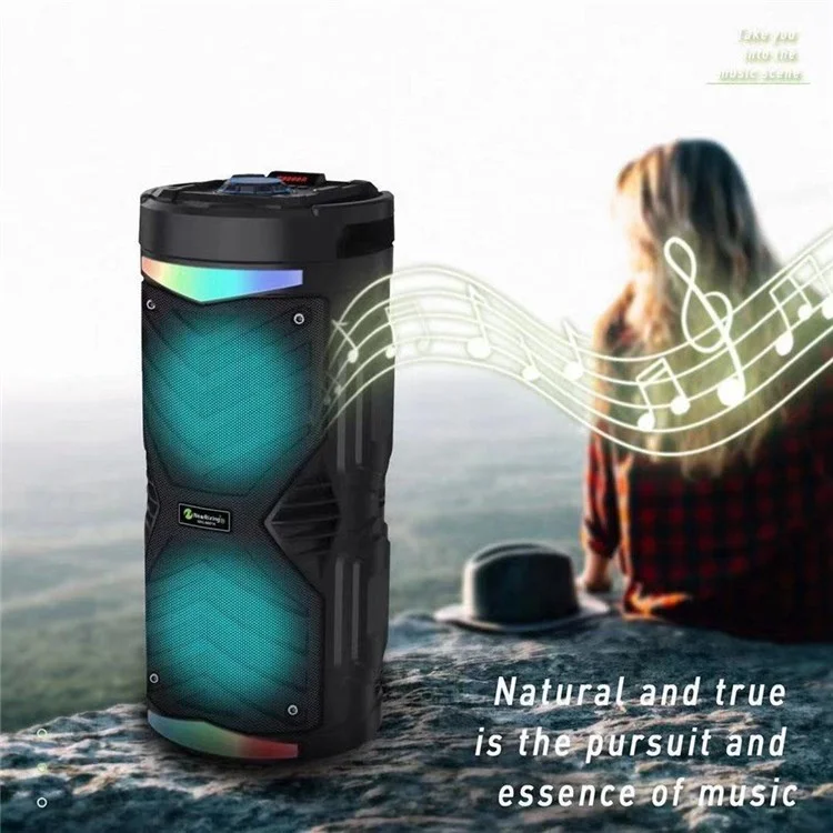 Portable Karaoke Wireless Bluetooth Speaker Outdoor 20W High Power Audio Amplifier Support TF Card/AUX/USB/FM Radio - Black
