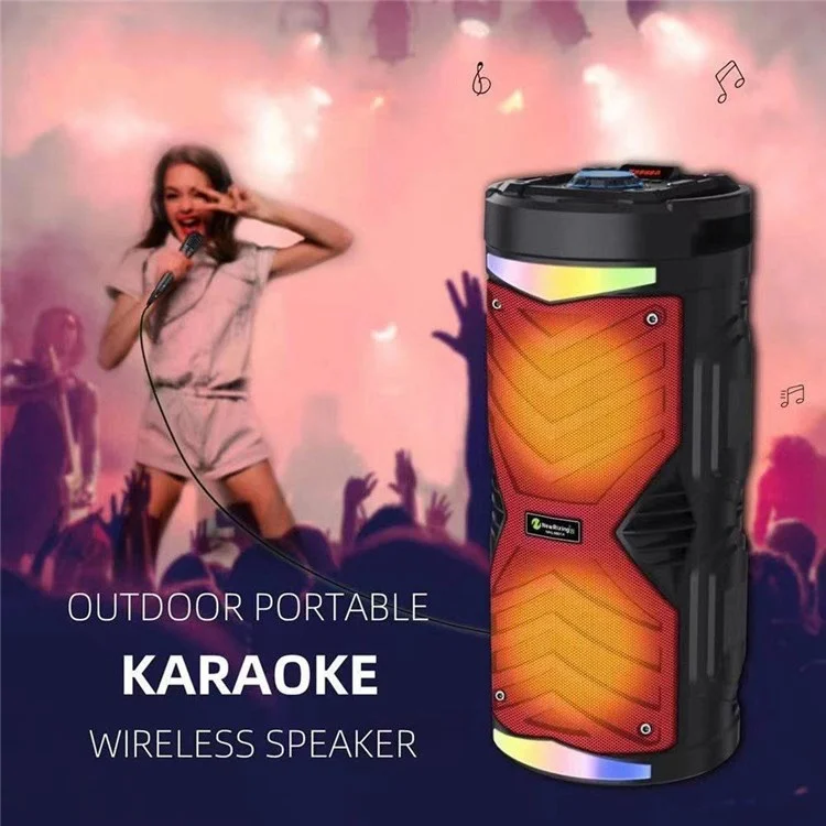 Portable Karaoke Wireless Bluetooth Speaker Outdoor 20W High Power Audio Amplifier Support TF Card/AUX/USB/FM Radio - Black